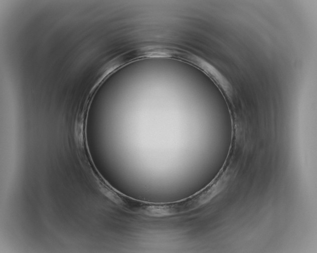 X0000113081194200908281217