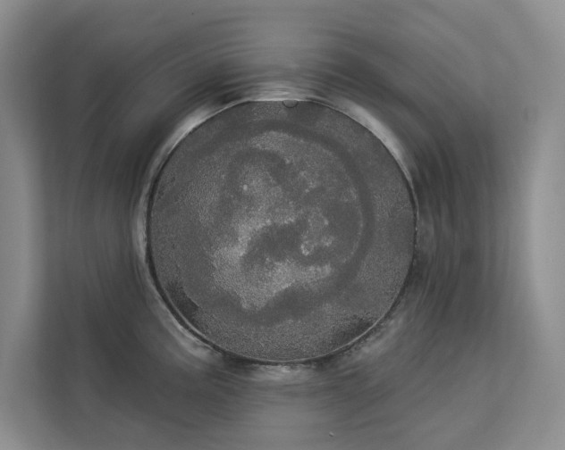 X0000113081195200908281217