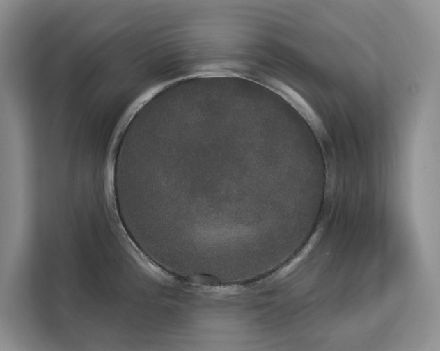 X0000113081196200908281217