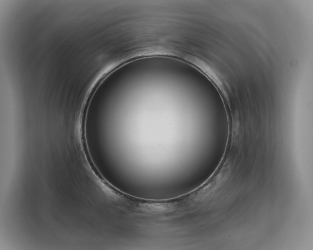 X0000113081197200908281217