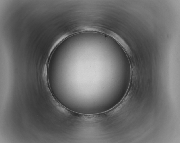 X0000113081198200908281217