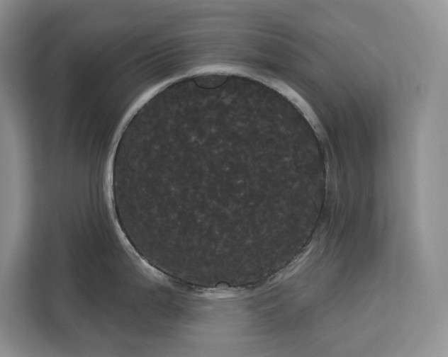 X0000113081199200908281217