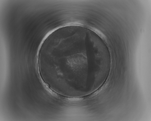 X0000113081200200908281217