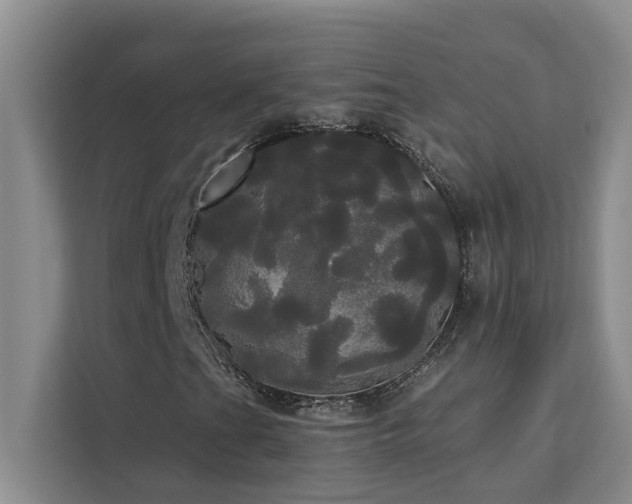 X0000113081201200908281216