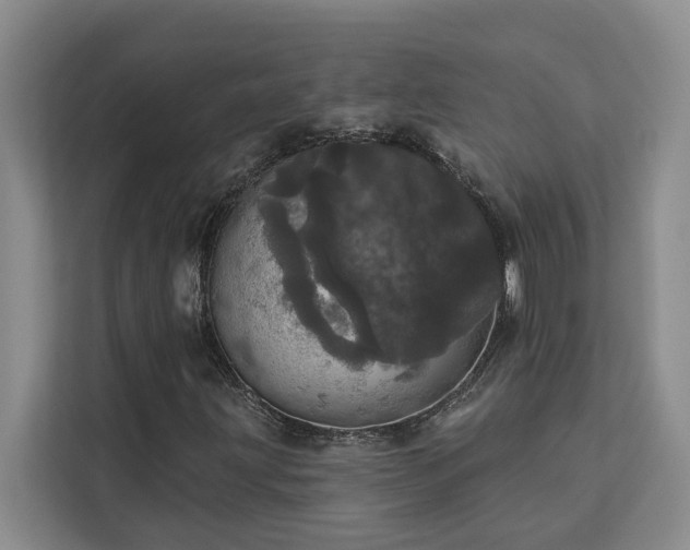 X0000113081203200908281216