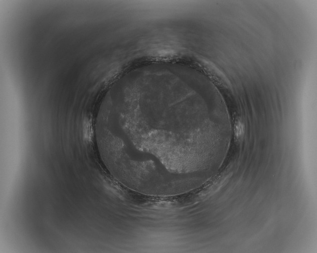 X0000113081204200908281216