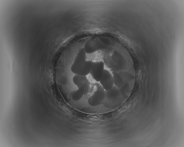 X0000113081205200908281216