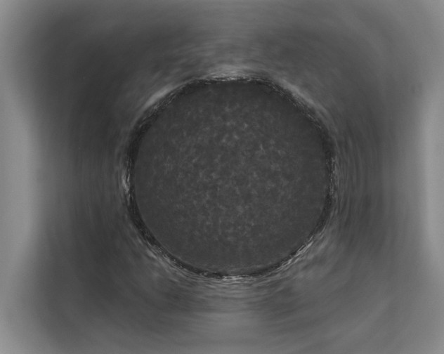 X0000113081206200908281216