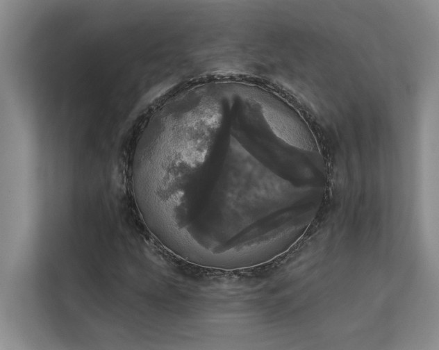 X0000113081207200908281216