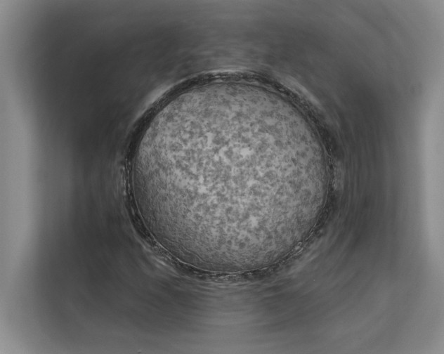 X0000113081208200908281216