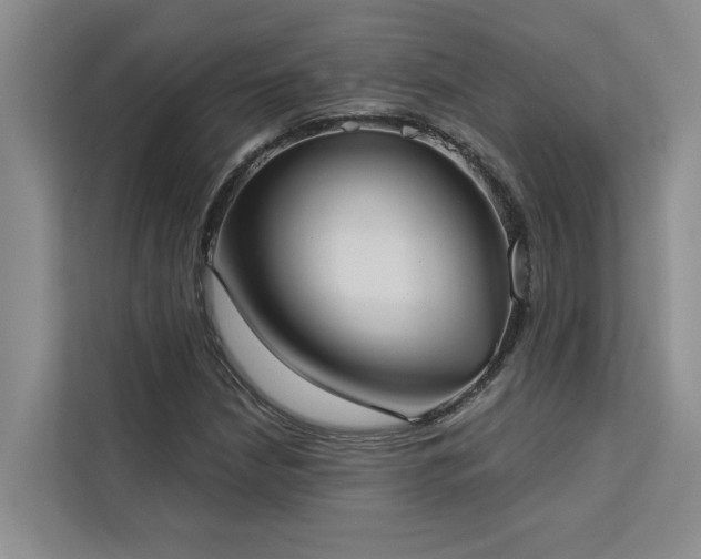 X0000113081210200908281216