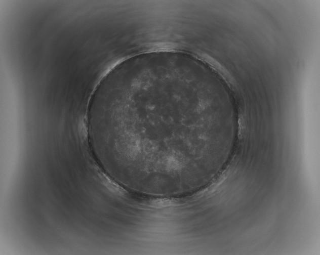 X0000113081212200908281216