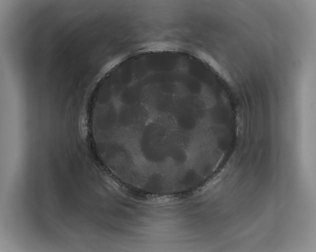 X0000113081213200908281216