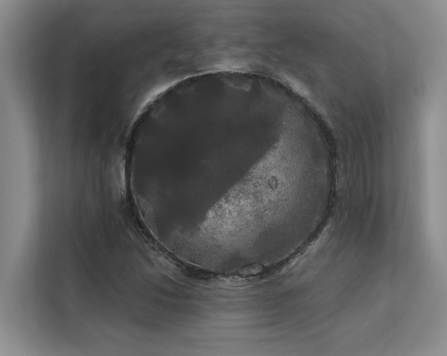 X0000113081214200908281216