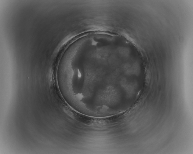 X0000113081215200908281216