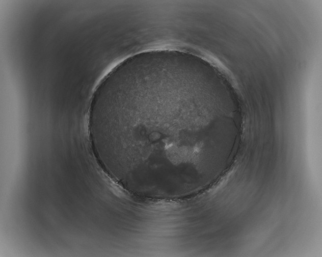 X0000113081216200908281216