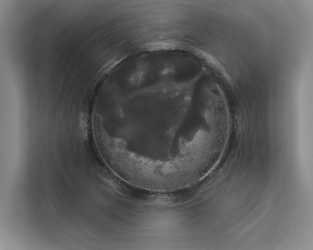 X0000113081217200908281216