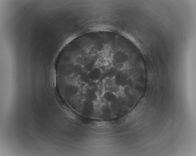 X0000113081219200908281216