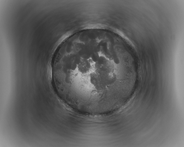 X0000113081221200908281216