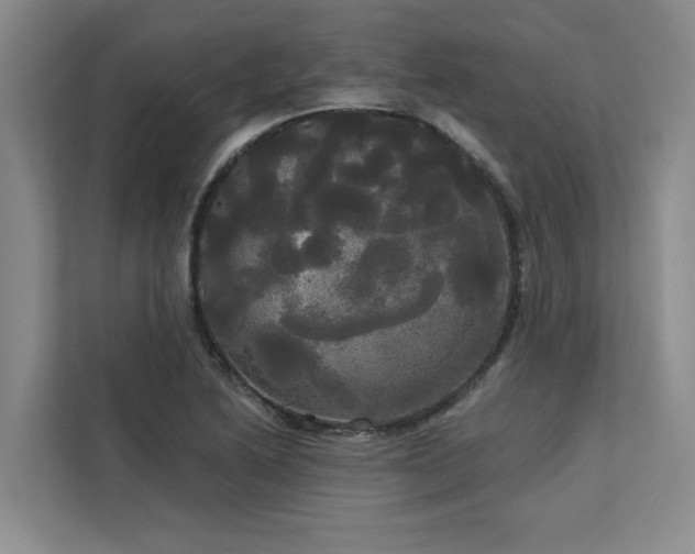 X0000113081222200908281216