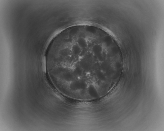 X0000113081223200908281216