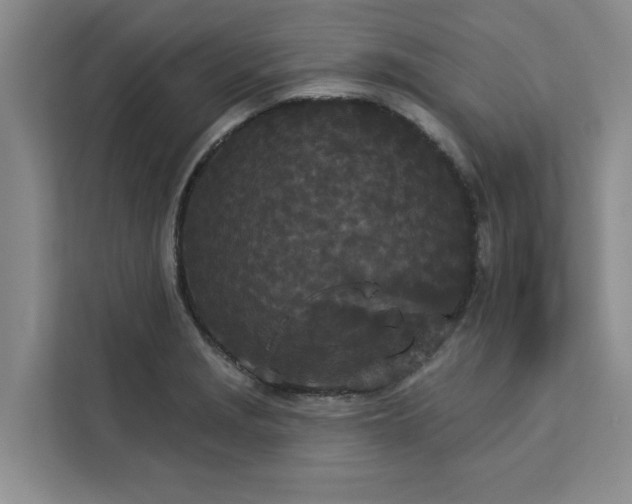 X0000113081229200908281216