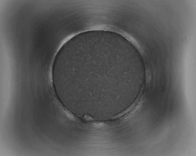 X0000113081230200908281216