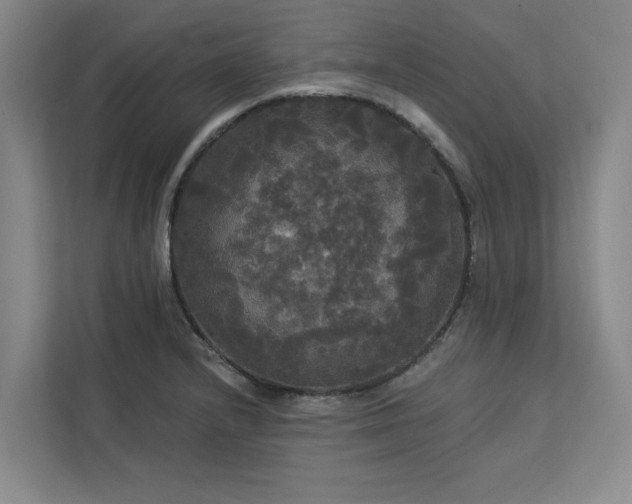 X0000113081232200908281216