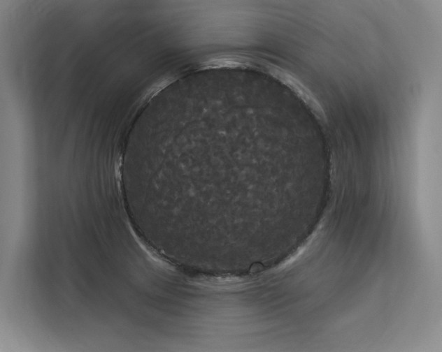 X0000113081233200908281216