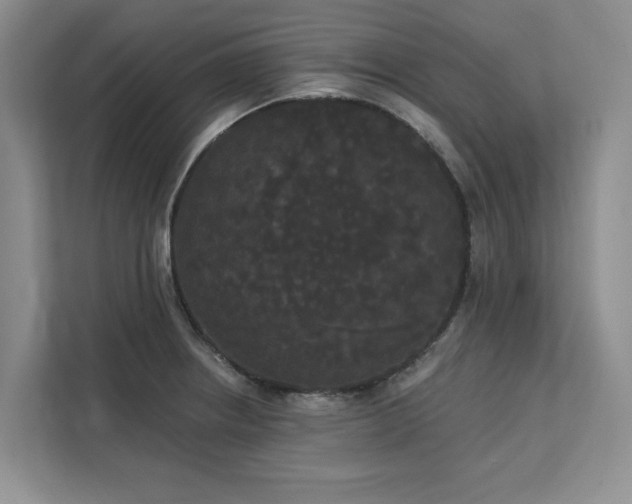 X0000113081234200908281217