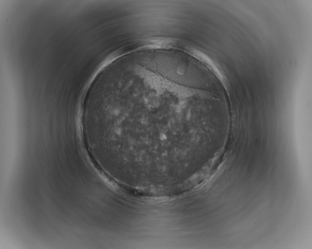 X0000113081235200908281217