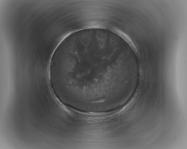 X0000113081236200908281217