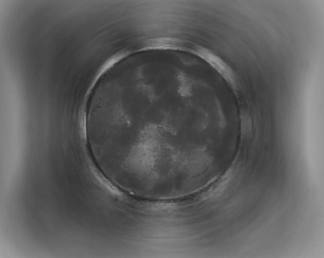 X0000113081238200908281217