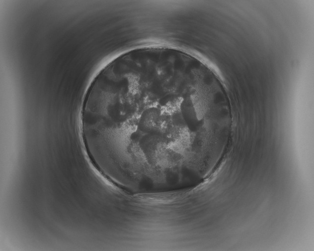 X0000113081239200908281217