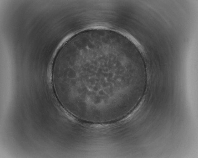 X0000113081240200908281217