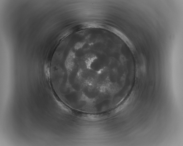 X0000113081241200908281217