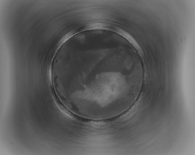 X0000113081242200908281217