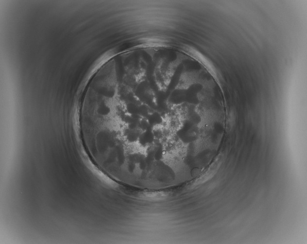 X0000113081243200908281217