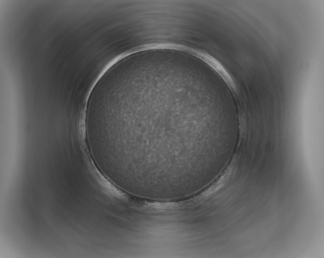 X0000113081244200908281217