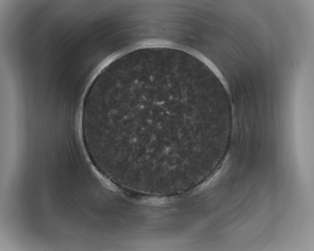 X0000113081245200908281217