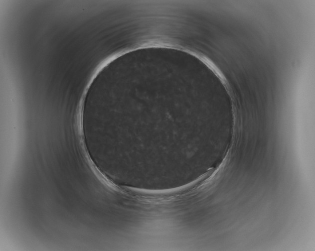 X0000113081246200908281217