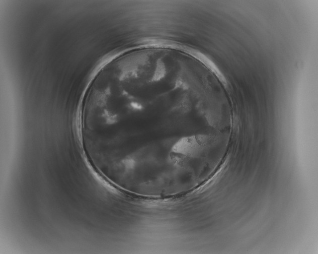 X0000113081247200908281217