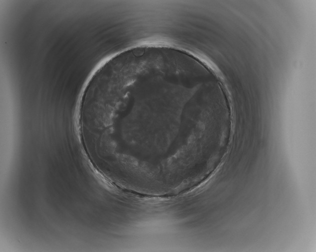 X0000113081248200908281217