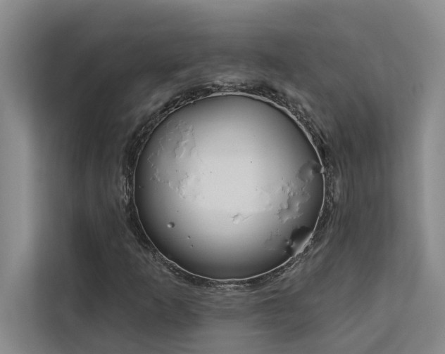 X0000113081253200908281216