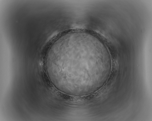 X0000113081254200908281216