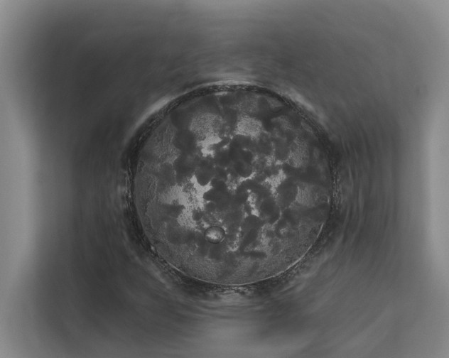 X0000113081255200908281216