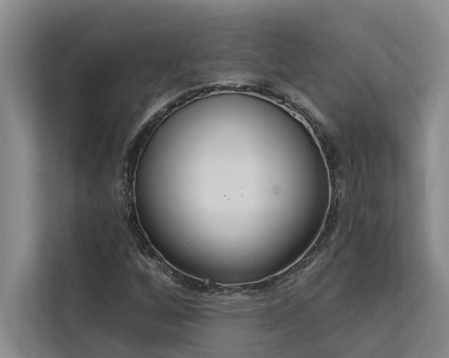 X0000113081256200908281216