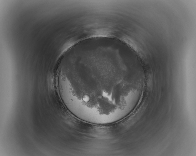 X0000113081258200908281216