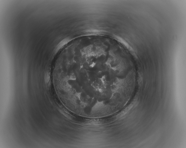 X0000113081259200908281216