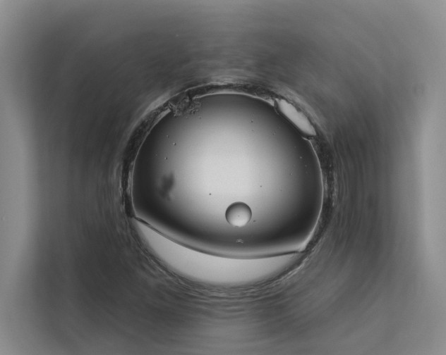 X0000113081261200908281216